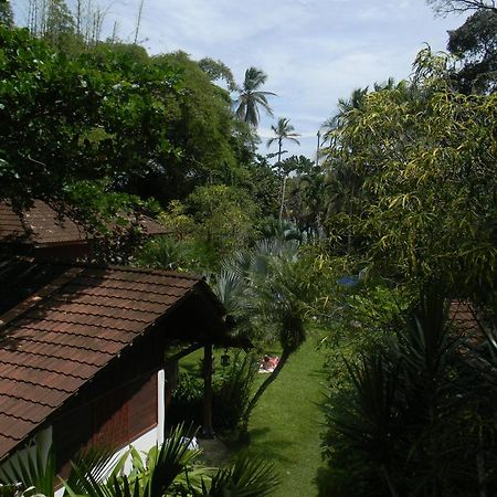Chalet Y Cabinas Hibiscus Cahuita Luaran gambar