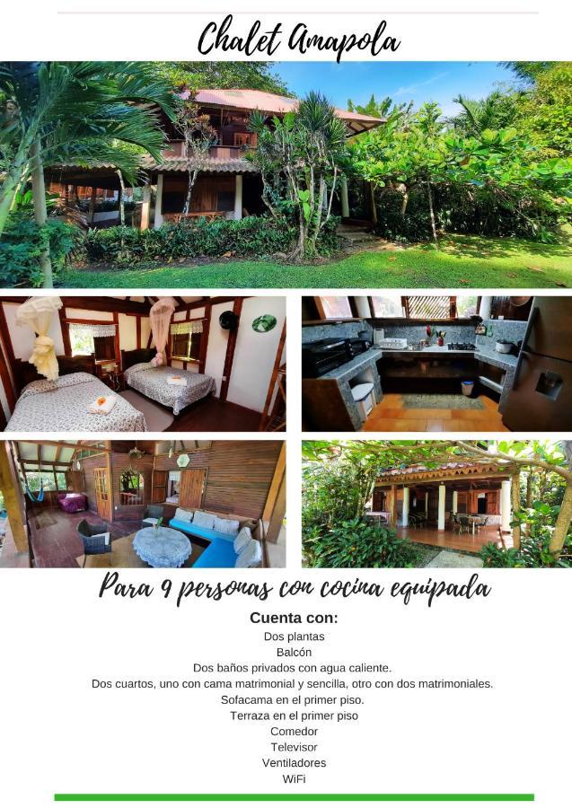 Chalet Y Cabinas Hibiscus Cahuita Luaran gambar